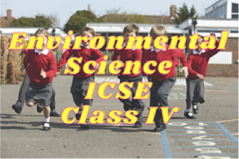 Environmental Science (ICSE) - Class IV